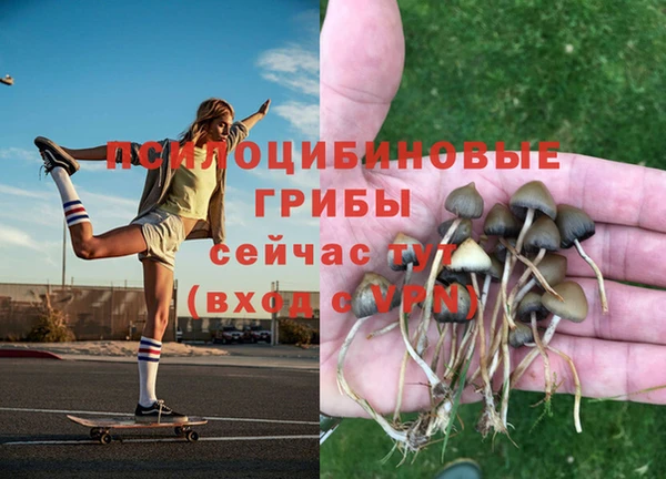 гашик Горнозаводск