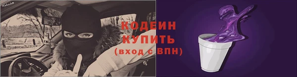 гашик Горнозаводск